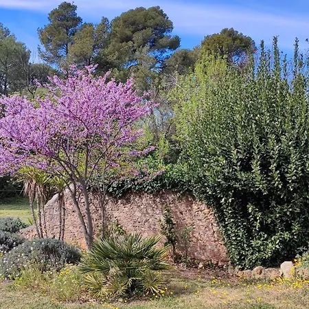 بيت للعطل Beautiful Domaine With Private Pool And Park Cazouls-lès-Béziers