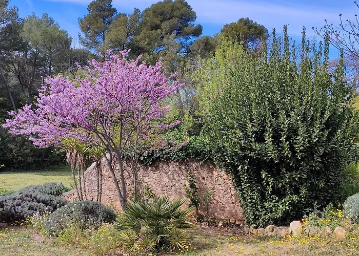 Ferienhaus Beautiful Domaine With Private Pool And Park Cazouls-lès-Béziers